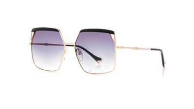 AH3253 P01 59-16,5-145