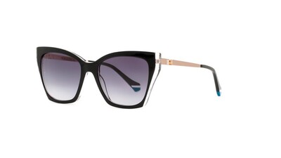 AH9352 H01 54-17-142