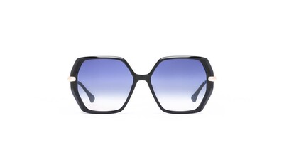 AH9363 A01 56-15-138