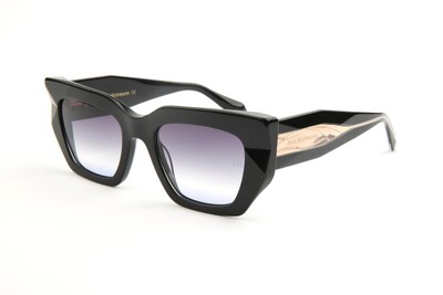 AH9416 A01 51-19-142