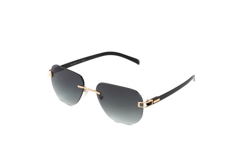 ARAMIS AR 3500 C04 53-18-140 Erkek Güneş Gözlüğü - 1