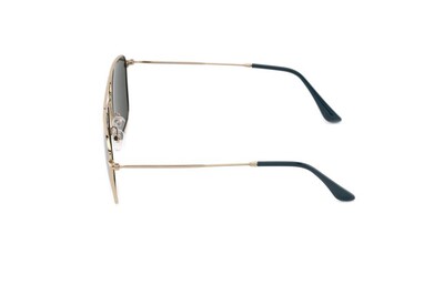 ARAMIS AR 2310 C03 59-15-140 Unısex Güneş Gözlüğü - 3
