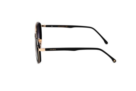 ARAMIS AR 2403 C01 53-23-145 Unısex Güneş Gözlüğü - 3
