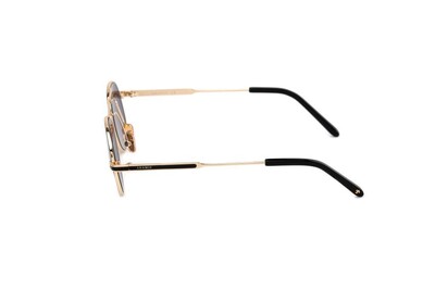 ARAMIS AR 2406 C01 50-22-145 Unısex Güneş Gözlüğü - 3