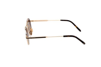 ARAMIS AR 2406 C02 50-22-145 Unisex Güneş Gözlüğü - 3