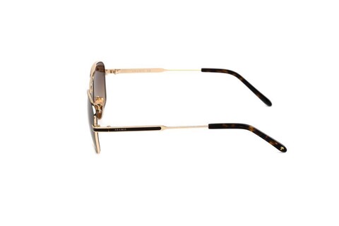 ARAMIS AR 2407 C02 54-18-140 Unısex Güneş Gözlüğü - Thumbnail