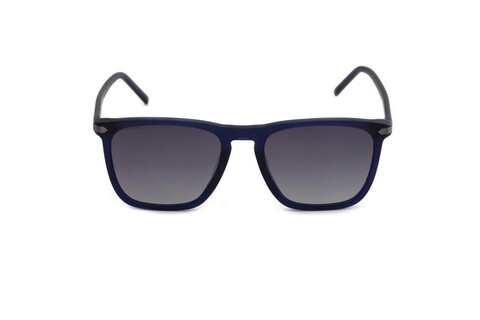 ARAMIS - ARAMIS AR 2413 C03 56-20-145 Erkek Güneş Gözlüğü (1)
