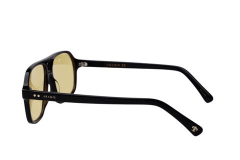 ARAMIS AR 2414 C01 58-14-148 Unisex Güneş Gözlüğü - 3