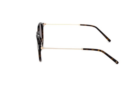 AR 2421 C03 50-22-145 - Thumbnail