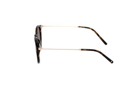 ARAMIS AR 2423 C03 47-20-140 Unısex Güneş Gözlüğü - Thumbnail