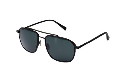 ARAMIS AR 2501 C4 57-18-148 Unisex Güneş Gözlüğü (1)