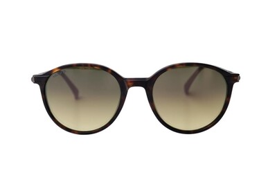 ARAMIS AR 2502 C2 51-19-148 Unisex Güneş Gözlüğü - 1