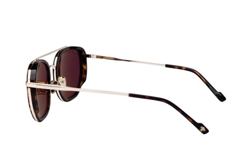 ARAMIS AR 2508 C2 56-20-145 Unisex Güneş Gözlüğü - Thumbnail