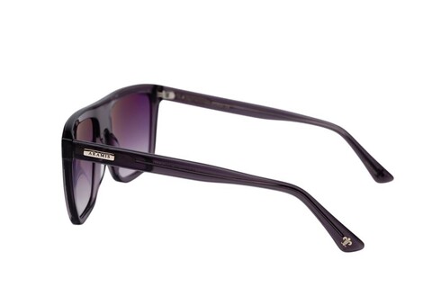 ARAMIS AR 2511 C3 59-17-145 Unisex Güneş Gözlüğü - Thumbnail