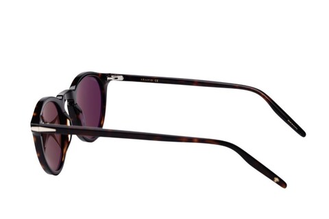 ARAMIS AR 2512 C2 48-23-145 Unisex Güneş Gözlüğü - Thumbnail