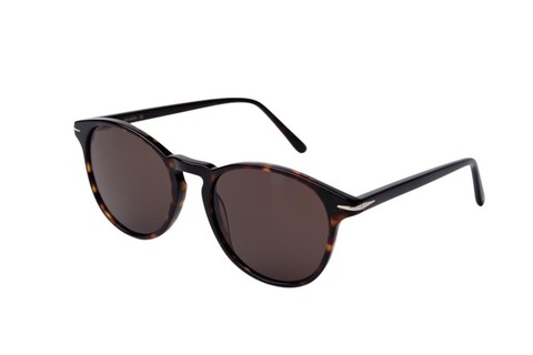 ARAMIS - ARAMIS AR 2514 C2 53-19-145 Unisex Güneş Gözlüğü (1)