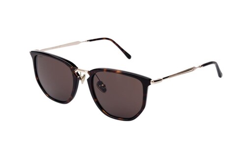 ARAMIS - ARAMIS AR 2518 C2 53-20-145 Unisex Güneş Gözlüğü (1)