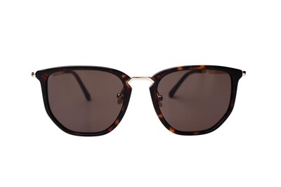 ARAMIS AR 2518 C2 53-20-145 Unisex Güneş Gözlüğü