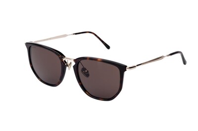 ARAMIS AR 2518 C2 53-20-145 Unisex Güneş Gözlüğü (1)
