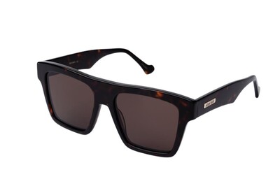 ARAMIS AR 2521 C2 55-17-145 Unisex Güneş Gözlüğü - 2