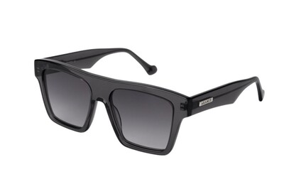 ARAMIS AR 2521 C3 55-17-145 Unisex Güneş Gözlüğü - 2