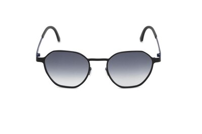 ARAMIS AR 67122 C75/25 49-19-145 Unısex Güneş Gözlüğü - 2