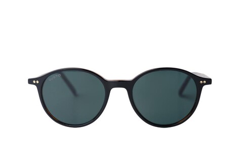 GUSTO - GUSTO GT 2500 C5 48-18-148 Kadın Güneş Gözlüğü