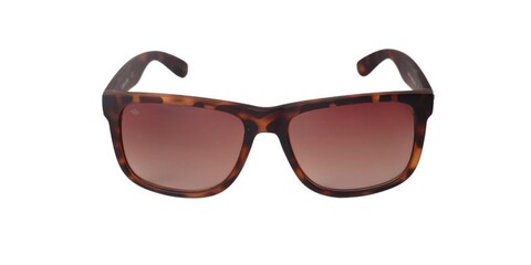 LAURENCE PAUL - LAURENCE PAUL LP2577 C2 54-16-145 Unisex Güneş Gözlüğü (1)