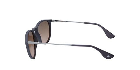 LAURENCE PAUL LP2578 C3 54-18-145 Kadın Güneş Gözlüğü - Thumbnail