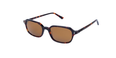 LAURENCE PAUL - LAURENCE PAUL LP2581 C2 52-19-145 Unisex Güneş Gözlüğü