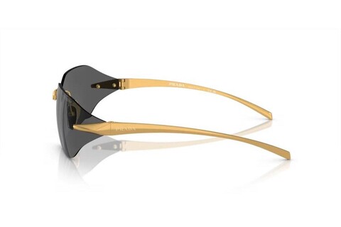 0PR A55S 15N5S0 71 Unısex Güneş Gözlüğü - Thumbnail