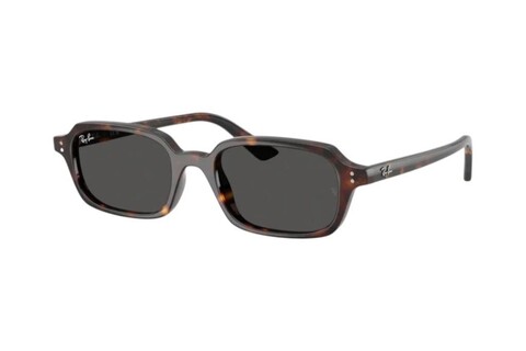 RAY-BAN 0RB4455 135987 49 Unisex Güneş Gözlüğü - Thumbnail