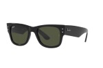 RAY-BAN 0RB0840S 901/31 51 Unısex Güneş Gözlüğü - 1