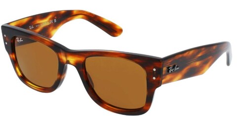 RAY-BAN - 0RB0840S 954/33 51