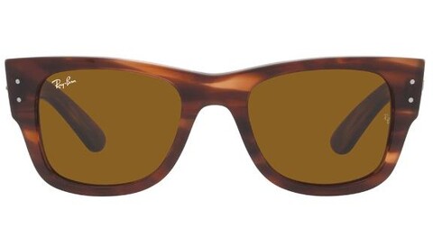 RAY-BAN - 0RB0840S 954/33 51 (1)