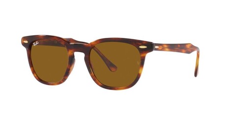 RAY-BAN - 0RB2298 954/33 50
