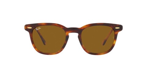 RAY-BAN - 0RB2298 954/33 50 (1)