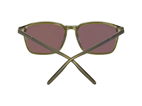 SERENGETI GSG 485003 LENWOOD Unısex Güneş Gözlüğü - Thumbnail