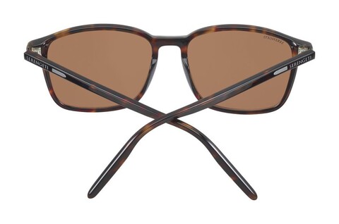 GSG 8933 LENWOOD SHINY DARK HAVANA - Thumbnail