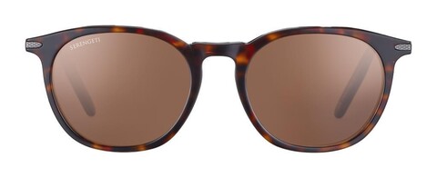 SERENGETI - GSG 8937 ARLIE SHINY DARK HAVANA (1)