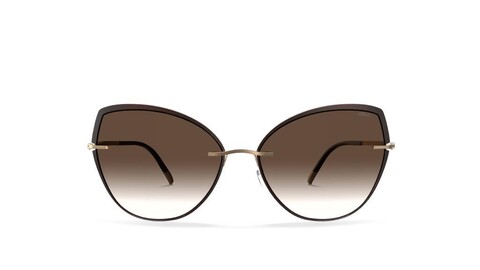 SILHOUETTE - SILHOUTTE SIL 8188 6030 Kadın Güneş Gözlüğü (1)