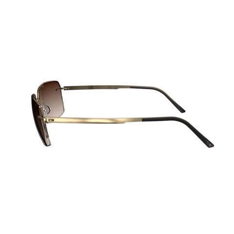 SILHOUETTE - SILHOUETTE SIL 8725 7520 Erkek Güneş Gözlüğü (1)