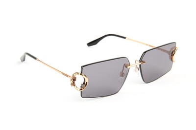 TRUSSARDI TSW3039 05A 60-15-142 Kadın Güneş Gözlüğü