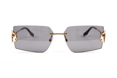 TRUSSARDI TSW3039 05A 60-15-142 Kadın Güneş Gözlüğü (1)
